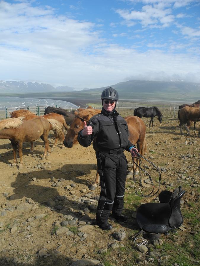 Icelandhorsetours - Helluland Saudarkrokur Exterior photo