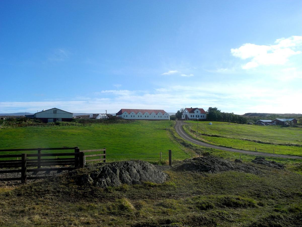 Icelandhorsetours - Helluland Saudarkrokur Exterior photo