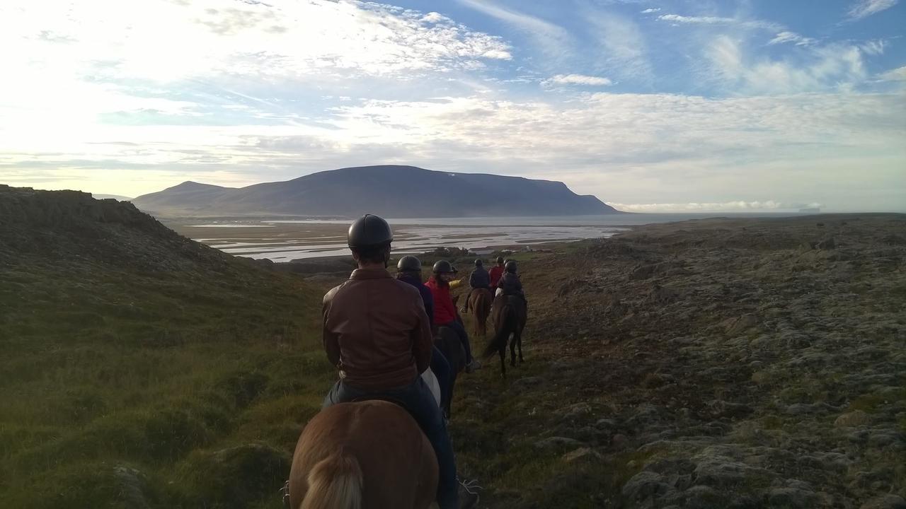 Icelandhorsetours - Helluland Saudarkrokur Exterior photo